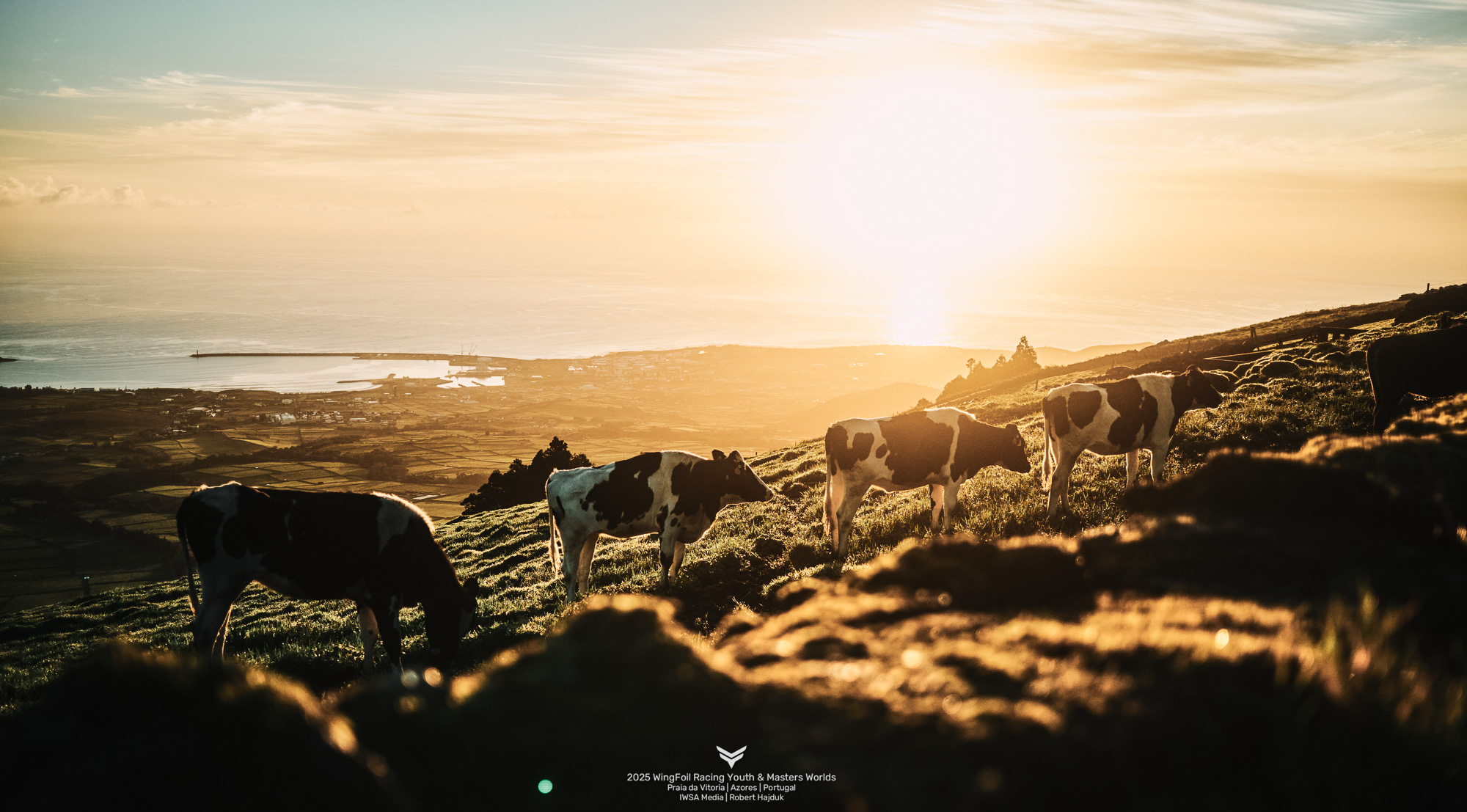 Families, Cows, and Calm Before the Storm! © IWSA media/Robert Hajduk