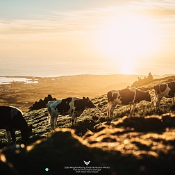 © IWSA media/Robert Hajduk